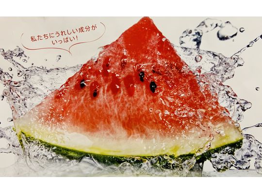 パワフル素材　スイカの魅力